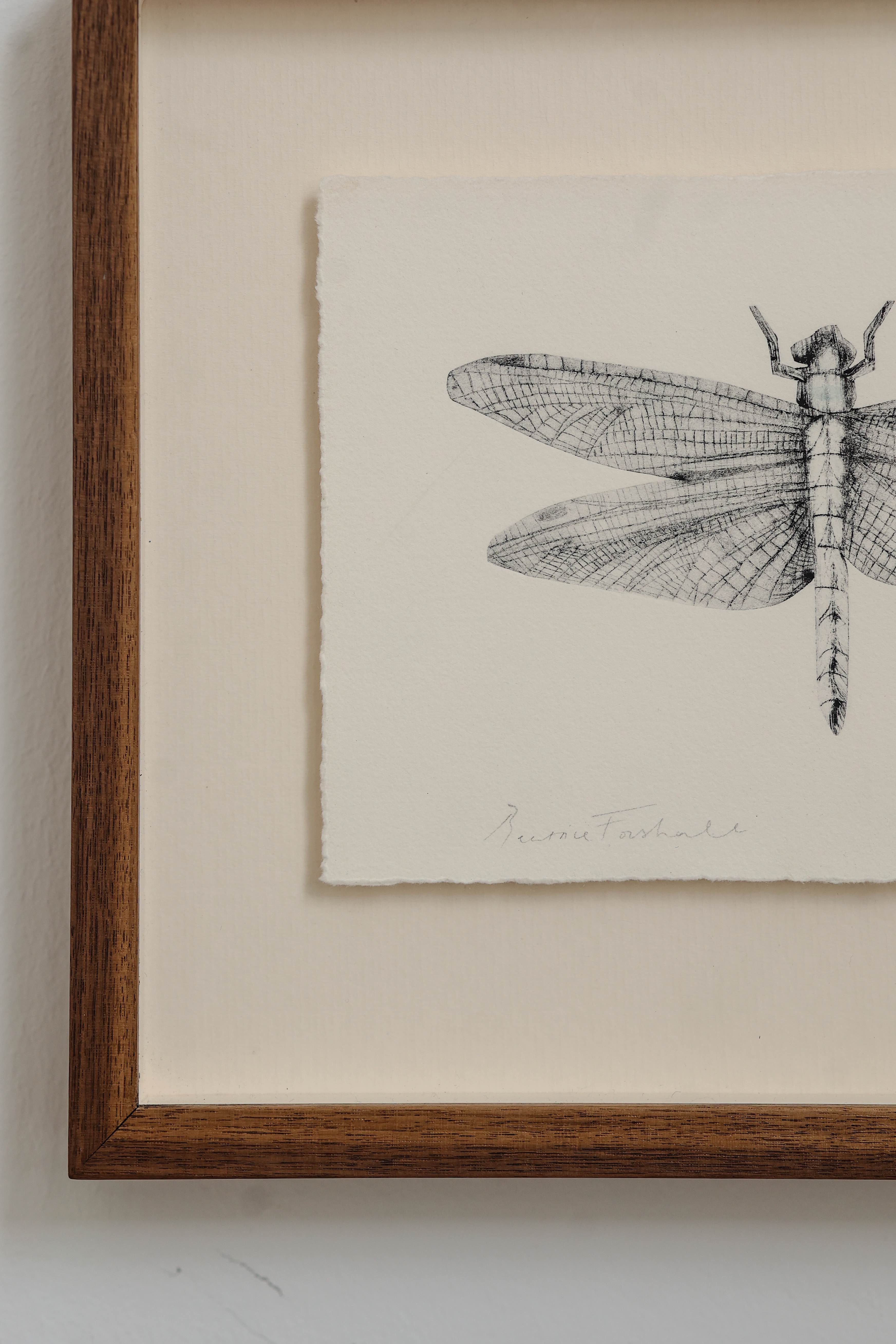 Dragonfly by Beatrice Forshall