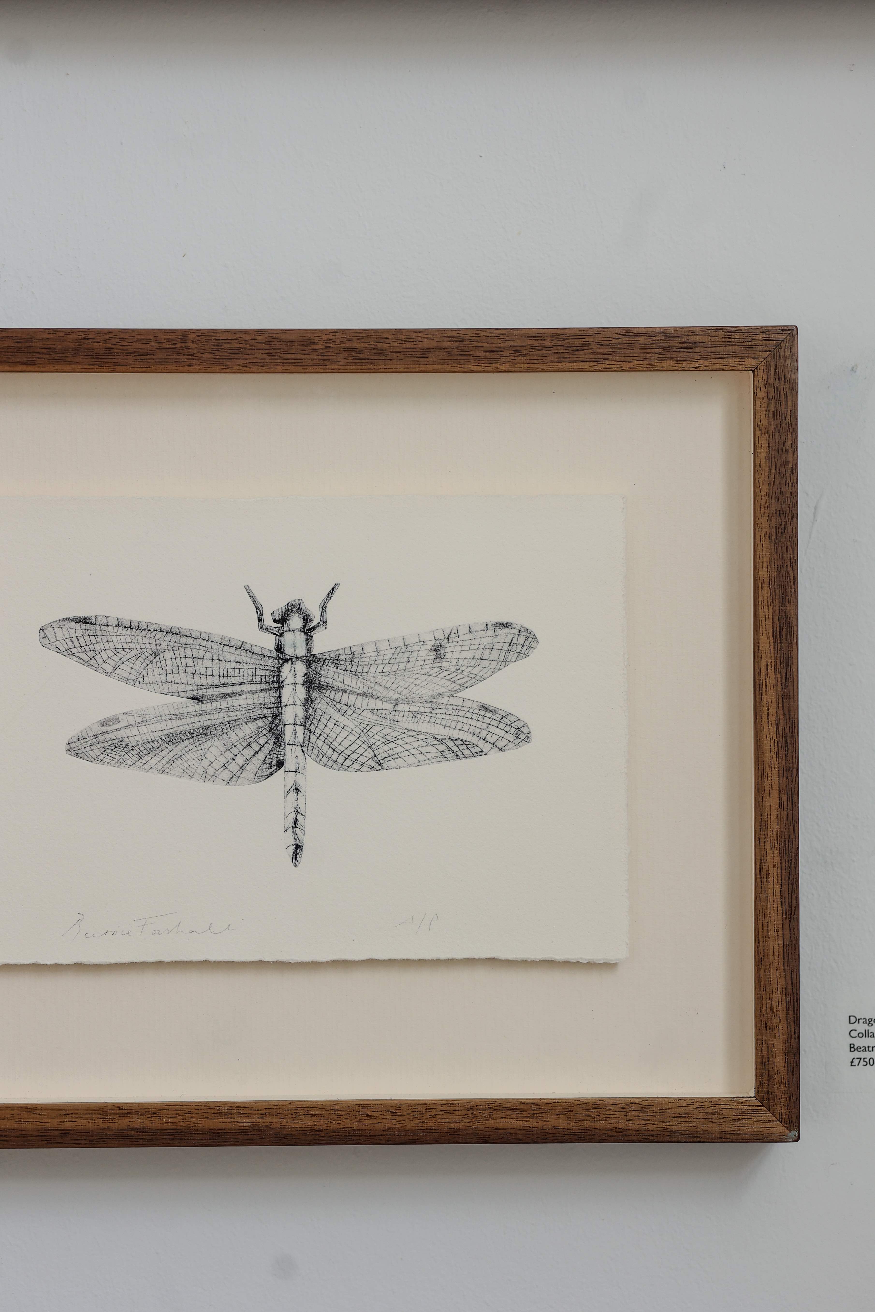 Dragonfly by Beatrice Forshall