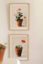 Dusty Pink Pot by Carrie Lees