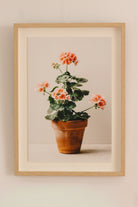 Dusty Pink Pot by Carrie Lees