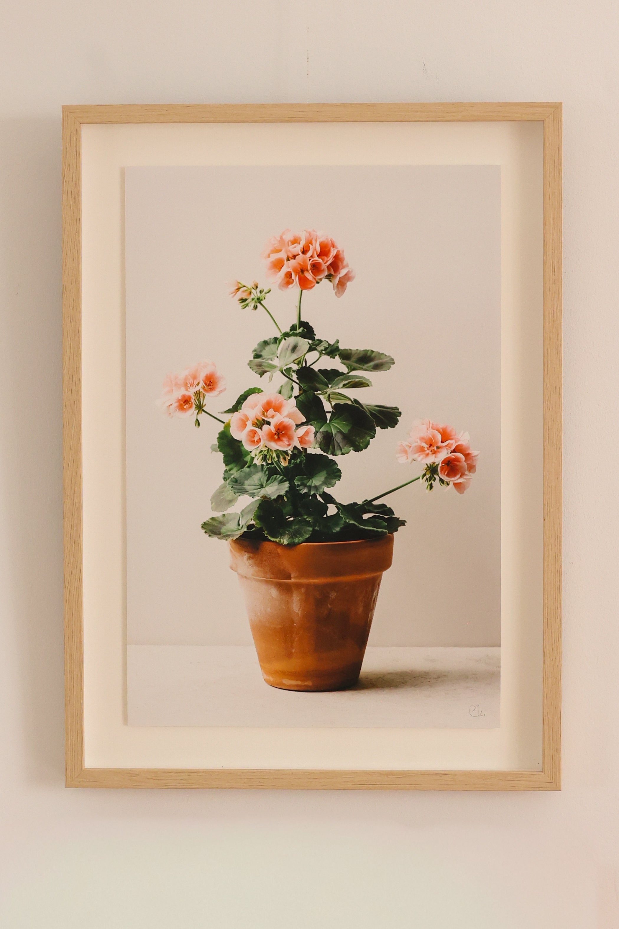 Dusty Pink Pot by Carrie Lees