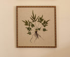 Fern II by Jam Jar Edit