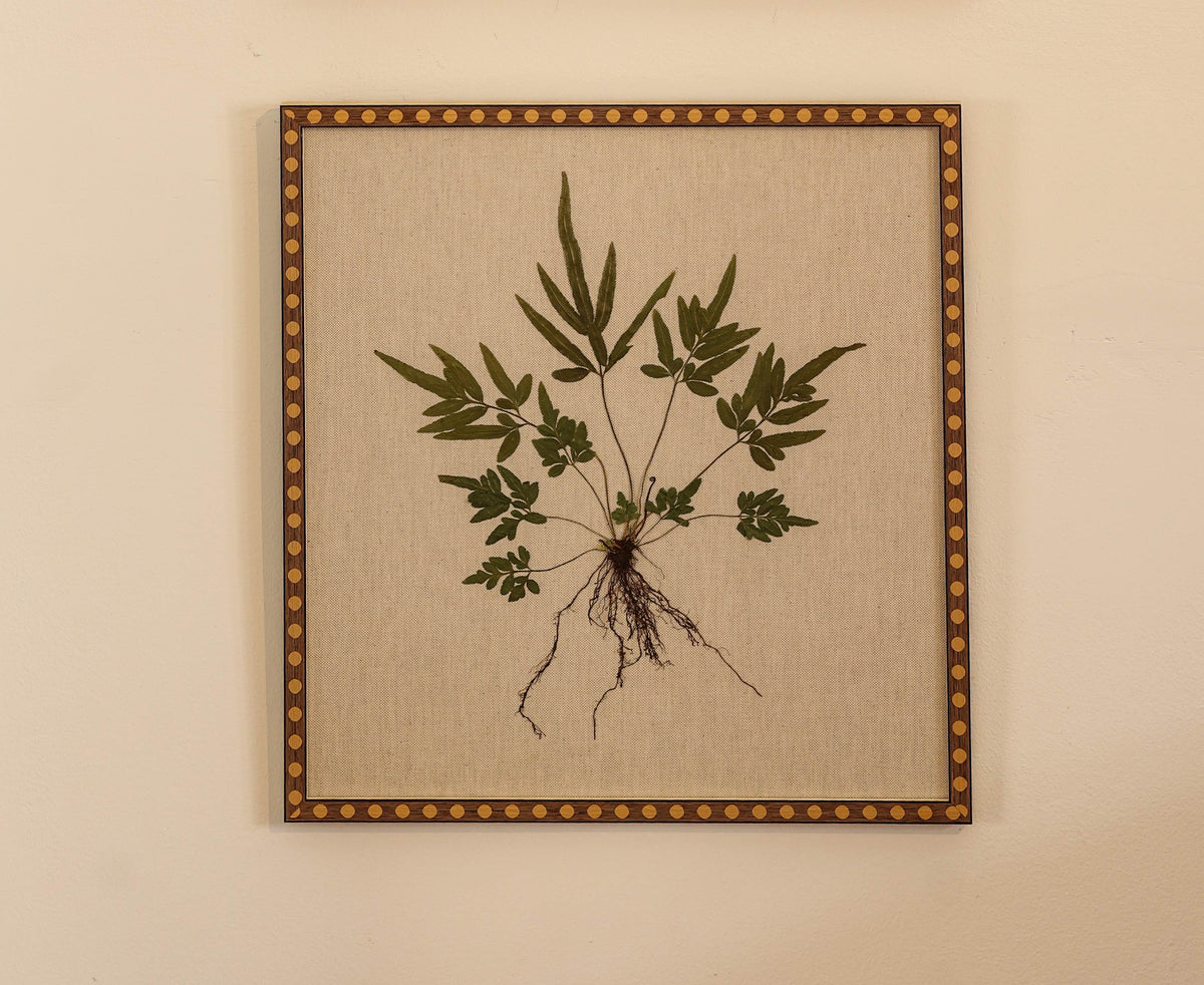 Fern II by Jam Jar Edit