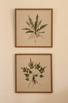 Fern I & Fern II by Jam Jar Edit