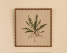 Fern I by Jam Jar Edit