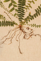 Fern I by Jam Jar Edit