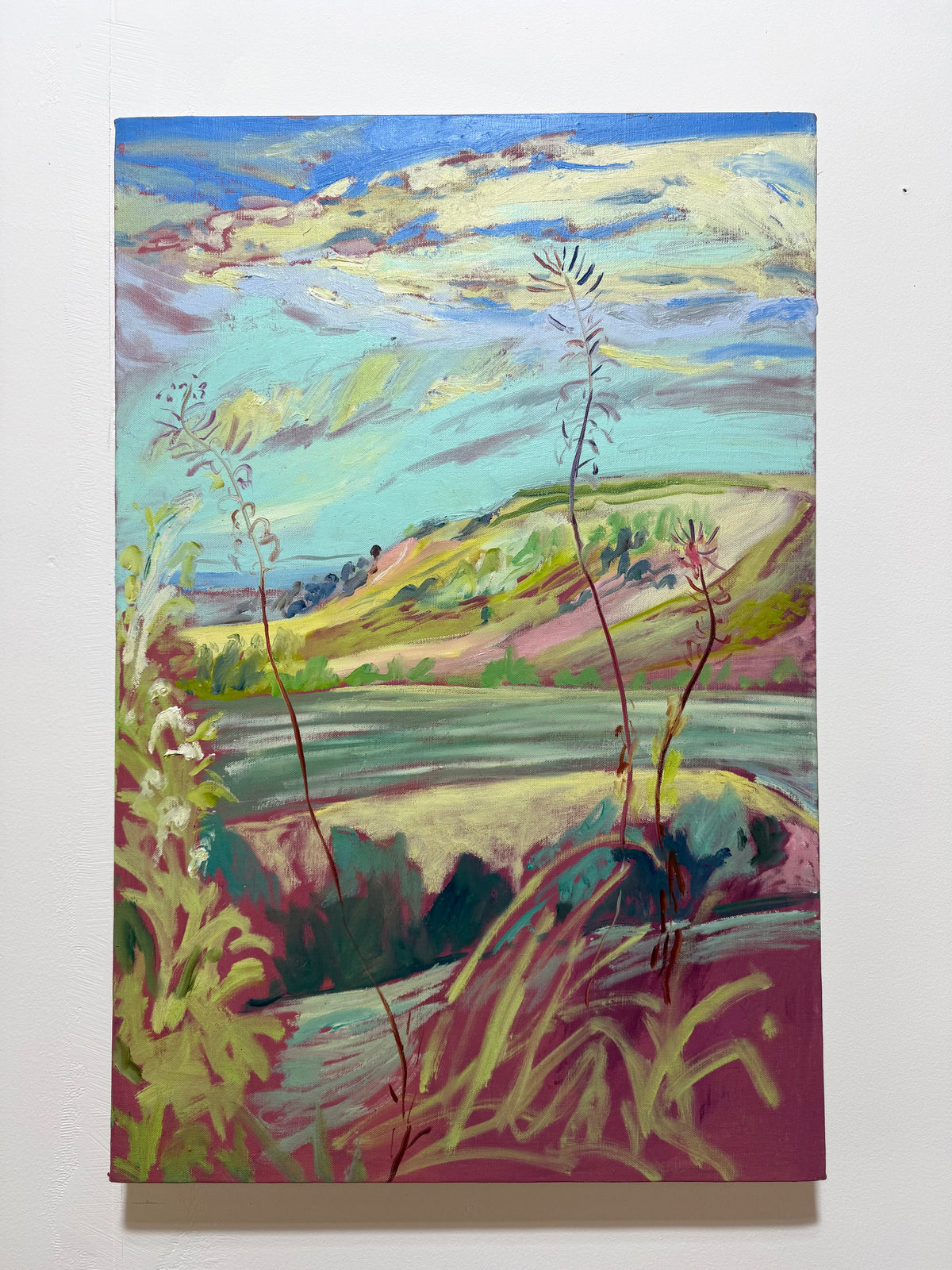 Fireweed and Harvest- South Downs Way by Hannah Rollings