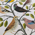 Garden Birds School Chart by Tom Frost