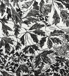 Halo Pine, Park Wood, Hergest by Rosie MacCurrach