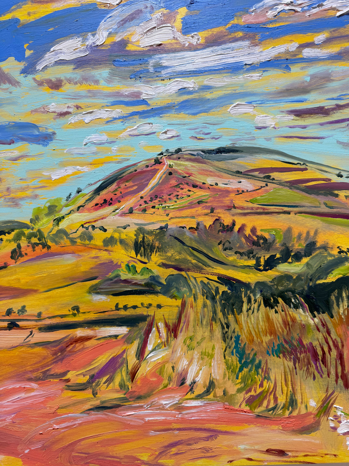 Heatwave at Amberley Mount by Hannah Rollings