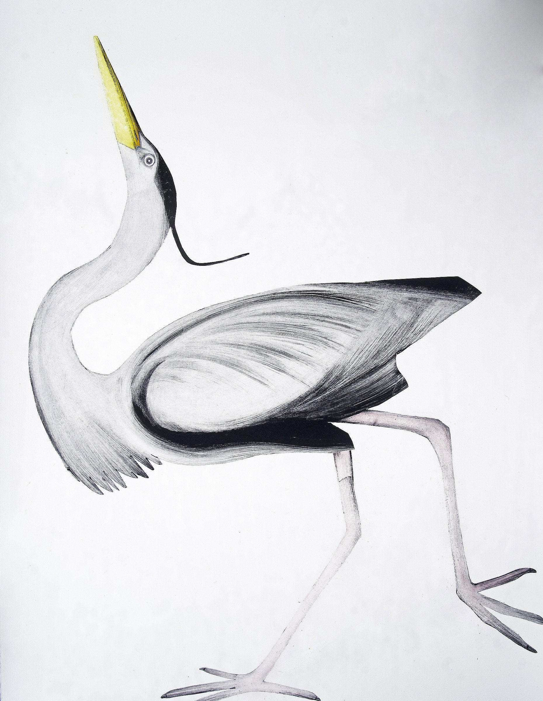 Heron by Beatrice Forshall