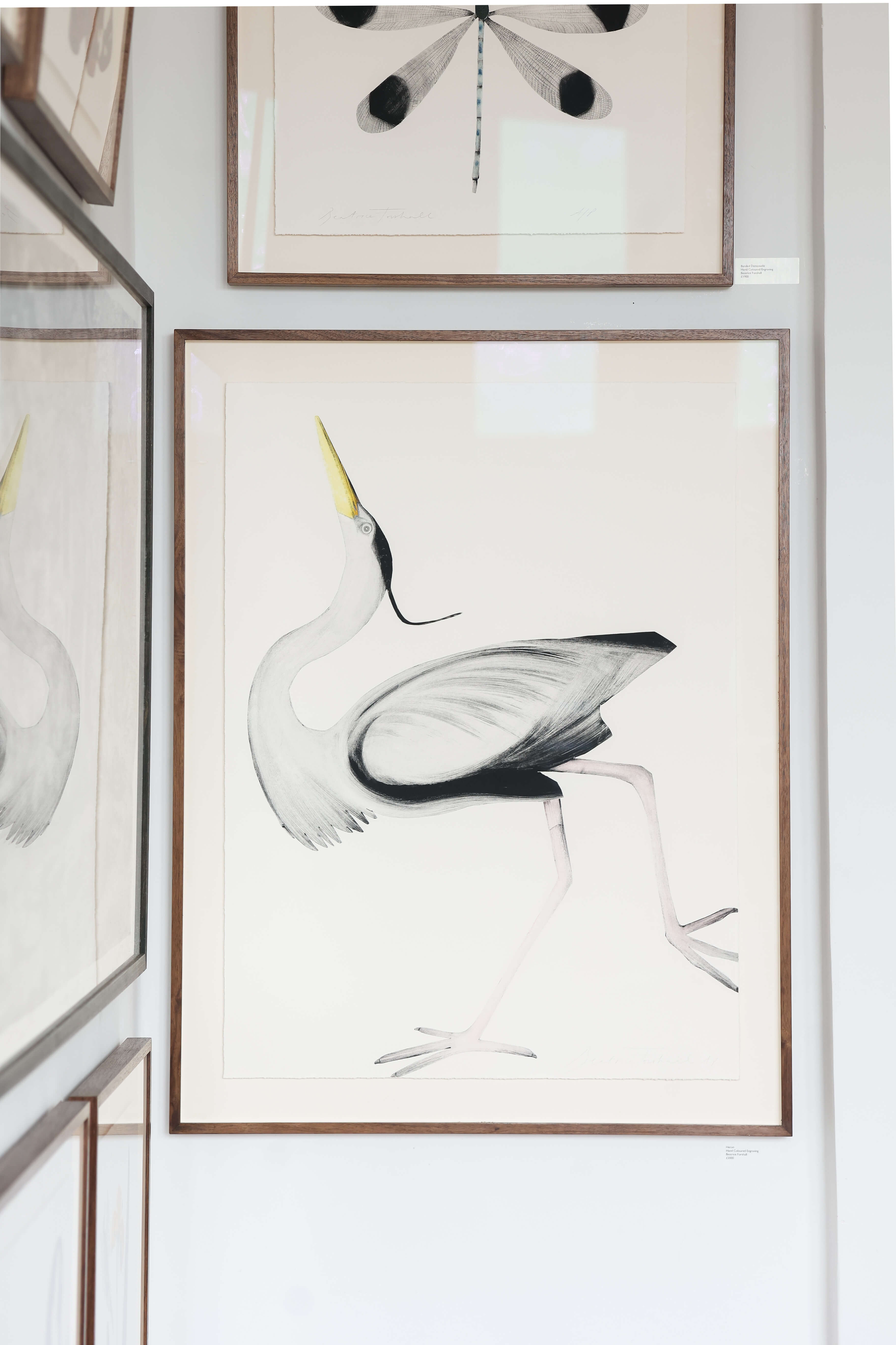  Heron by Beatrice Forshall