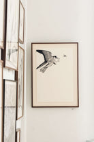 Hobby & Dragonfly by Beatrice Forshall