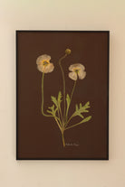 Icelandic Poppy by Jam Jar Edit 