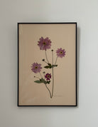Japanese Anemone by Jam Jar Edit