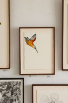 Kingfisher by Beatrice Forshall