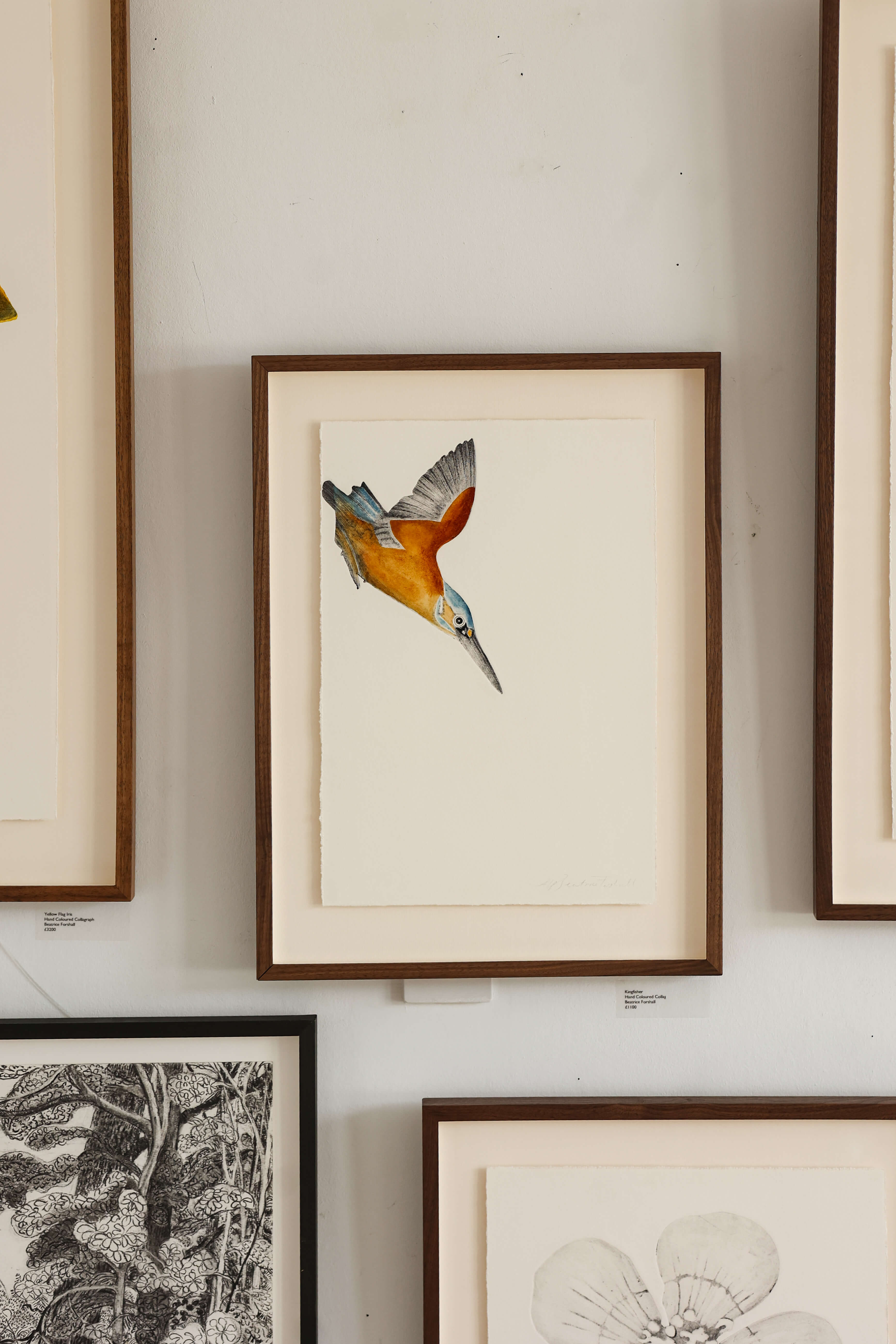 Kingfisher by Beatrice Forshall
