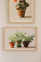 Lucia's Three Pots by Carrie Lees