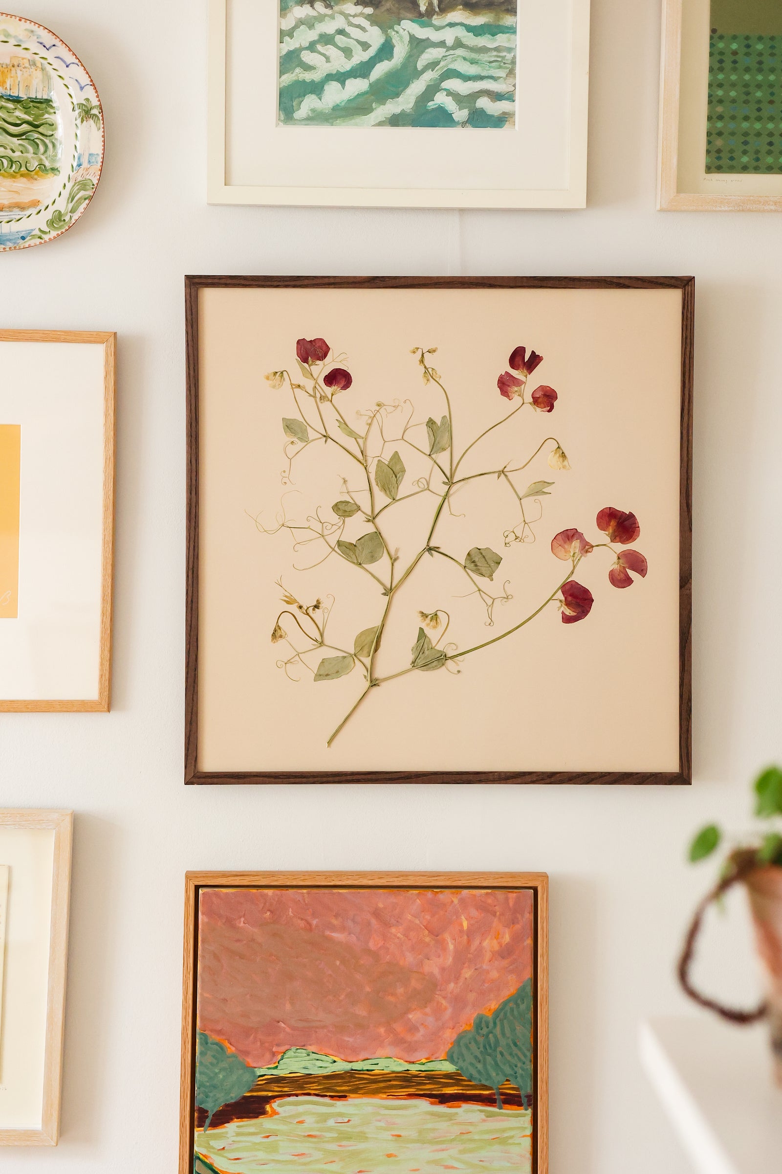 Framed pressed flowers by Jam Jar Edit at MYLO Gallery Hungerford