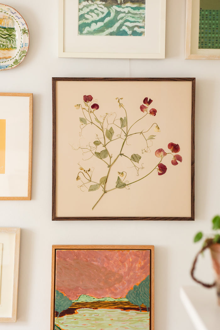 Framed pressed flowers by Jam Jar Edit at MYLO Gallery Hungerford