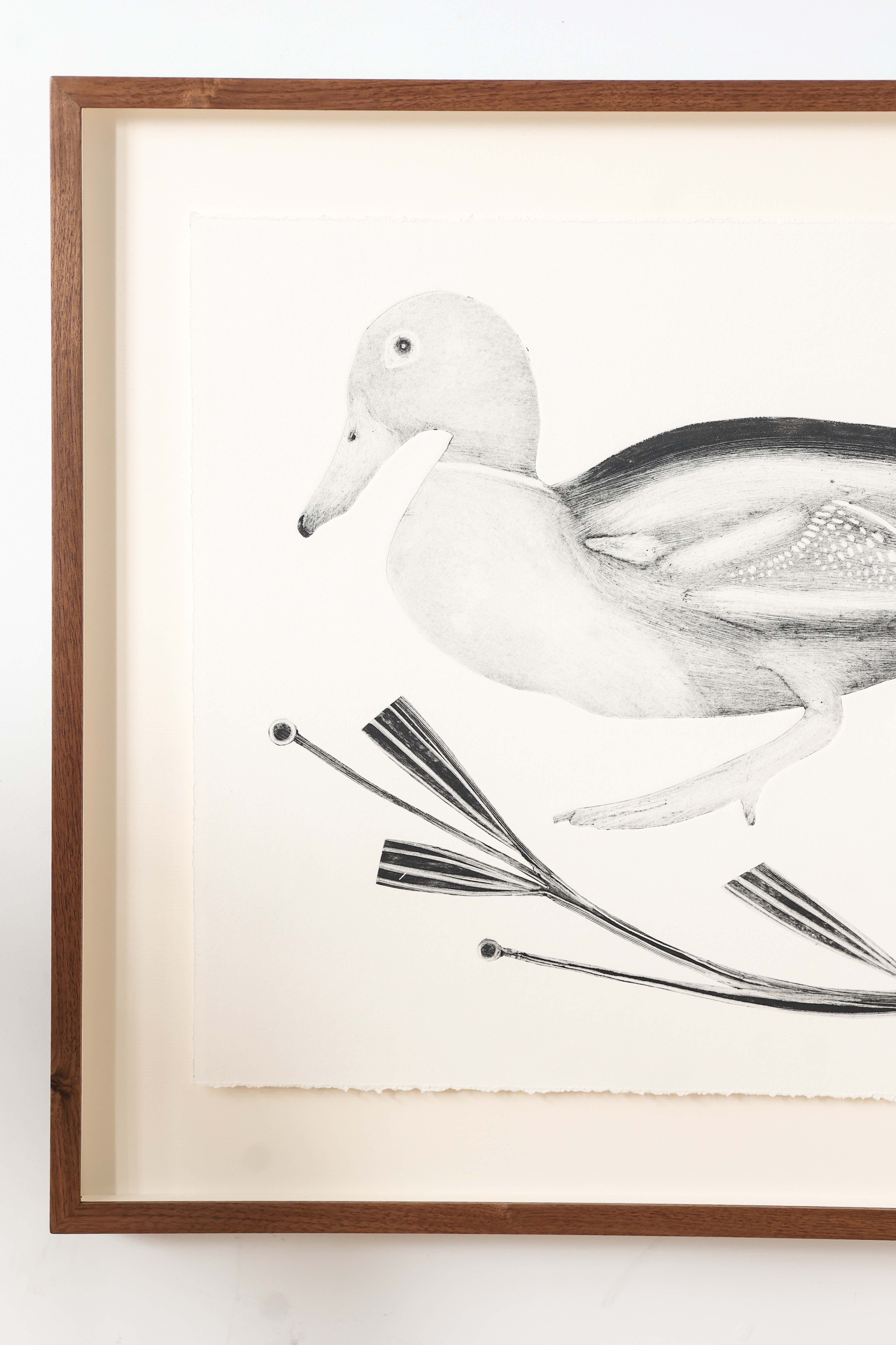 Mallard by Beatrice Forshall