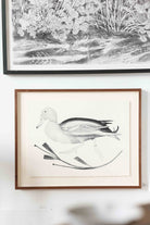 Mallard by Beatrice Forshall