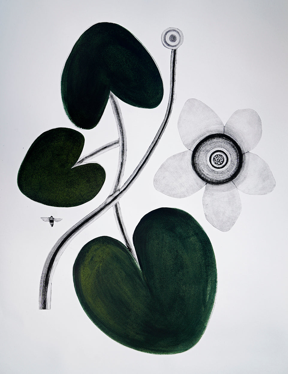 Marsh Marigold by Beatrice Forshall