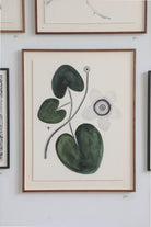 Marsh Marigold by Beatrice Forshall