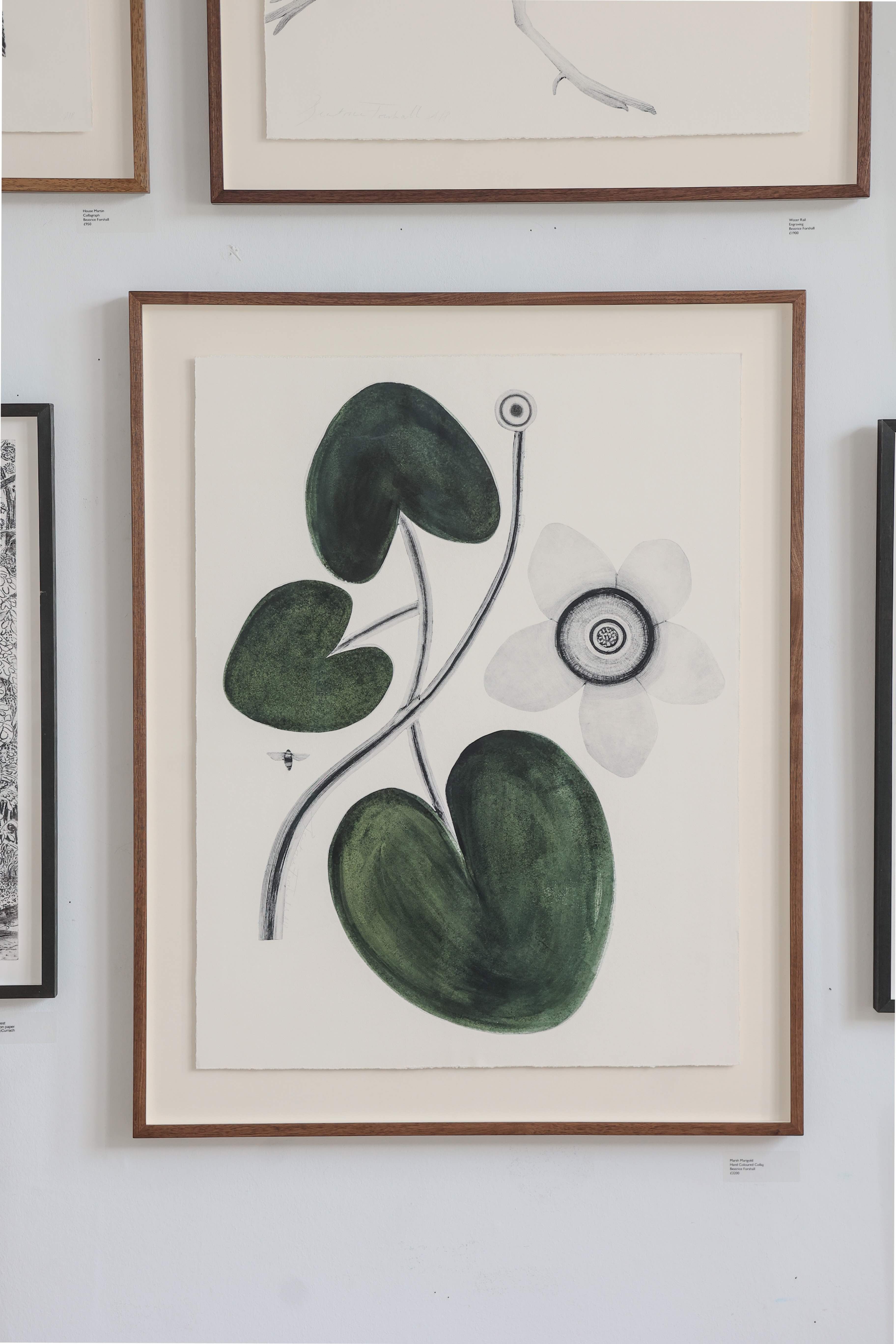 Marsh Marigold by Beatrice Forshall