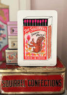 Not Very Secret Squirrel by Charlotte Farmer