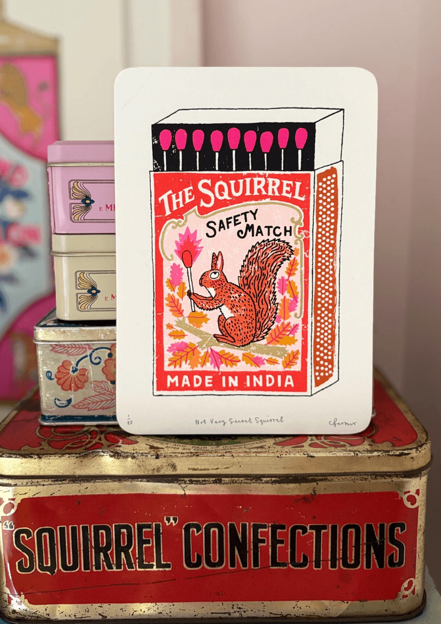 Not Very Secret Squirrel by Charlotte Farmer