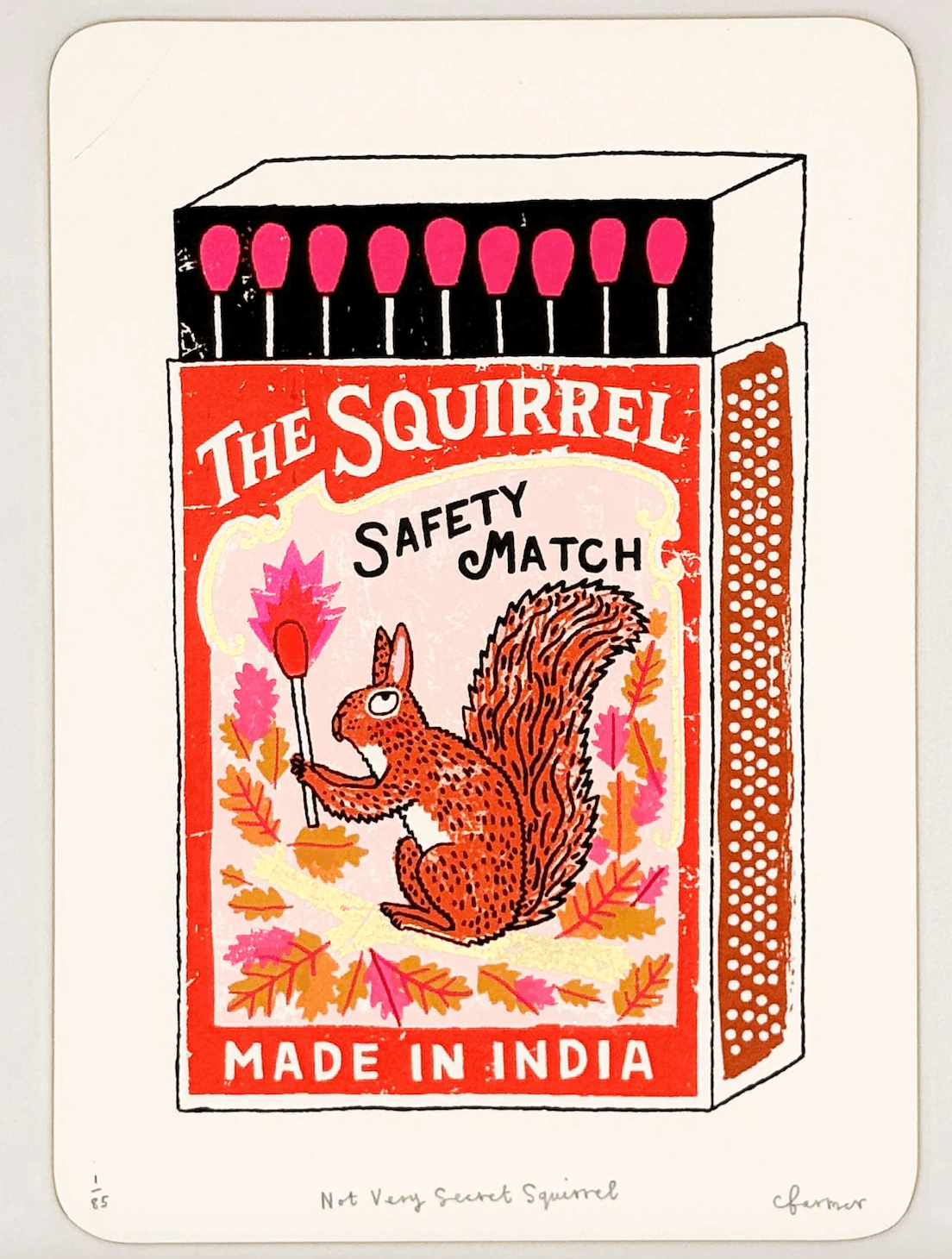 Not Very Secret Squirel by Charlotte Farmer 