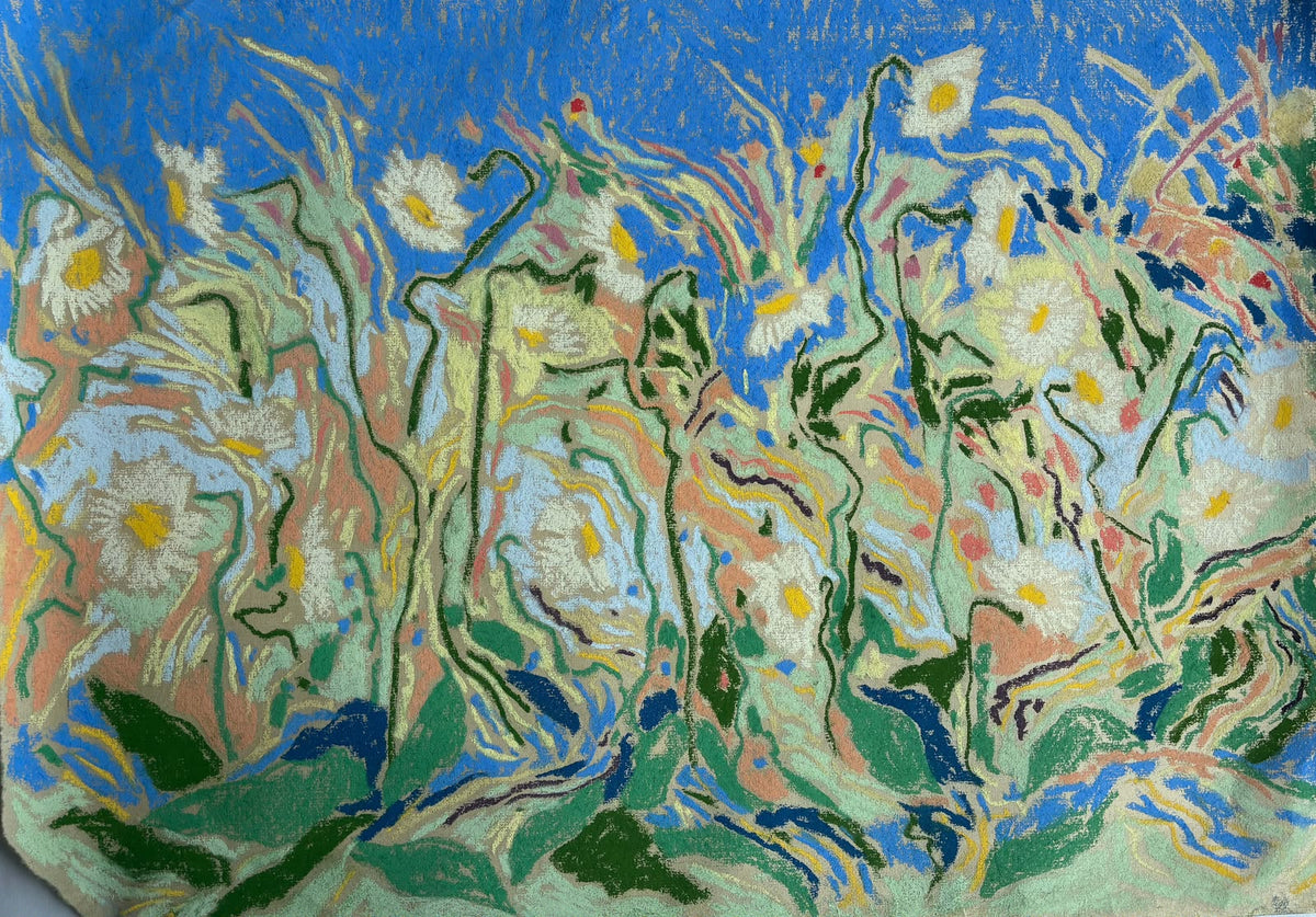 Oxeye Daisies & Blue Skies by Sally Newton