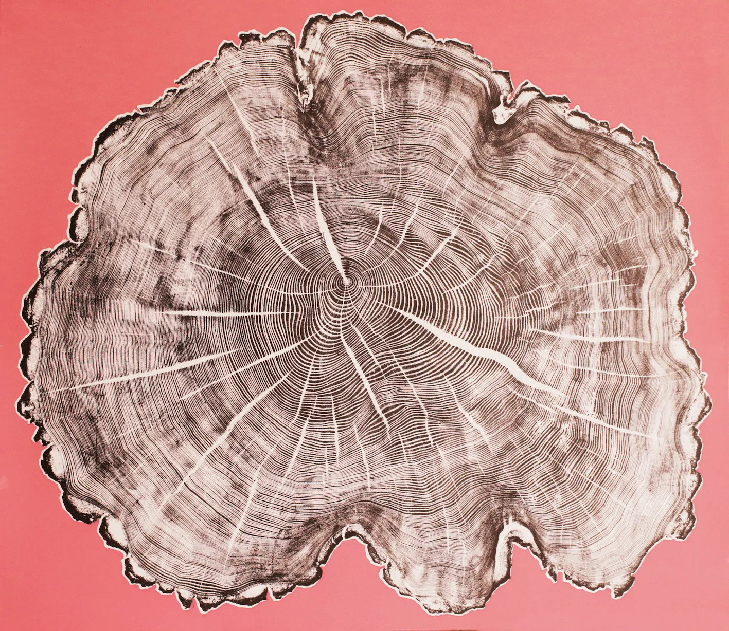 Pink Ash hand-printed woodcut by artist alan cameron