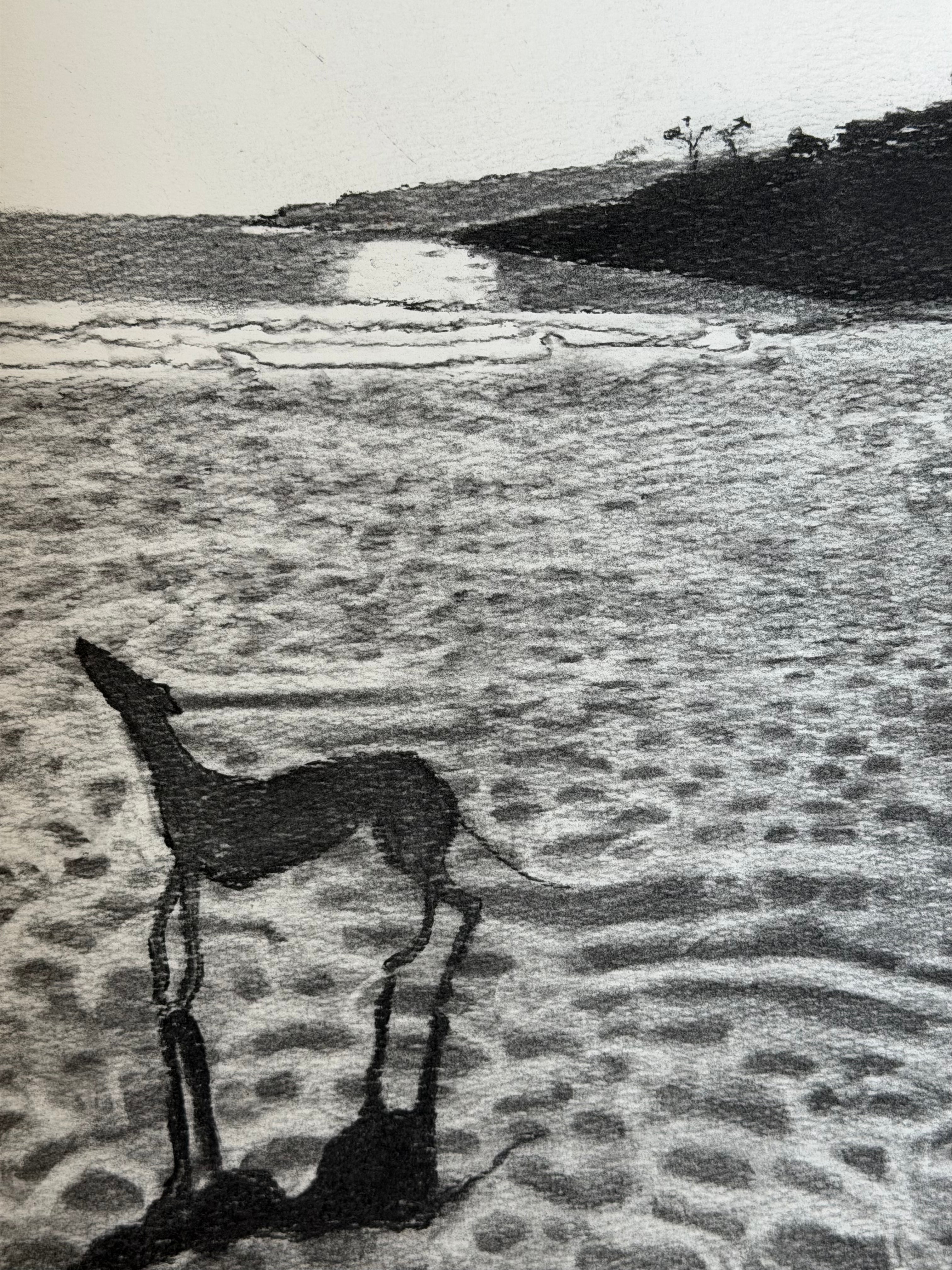 Playa Castell by Lizbeth Holstein