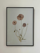 Poppy Amazing Grey by Jam Jar Edit 