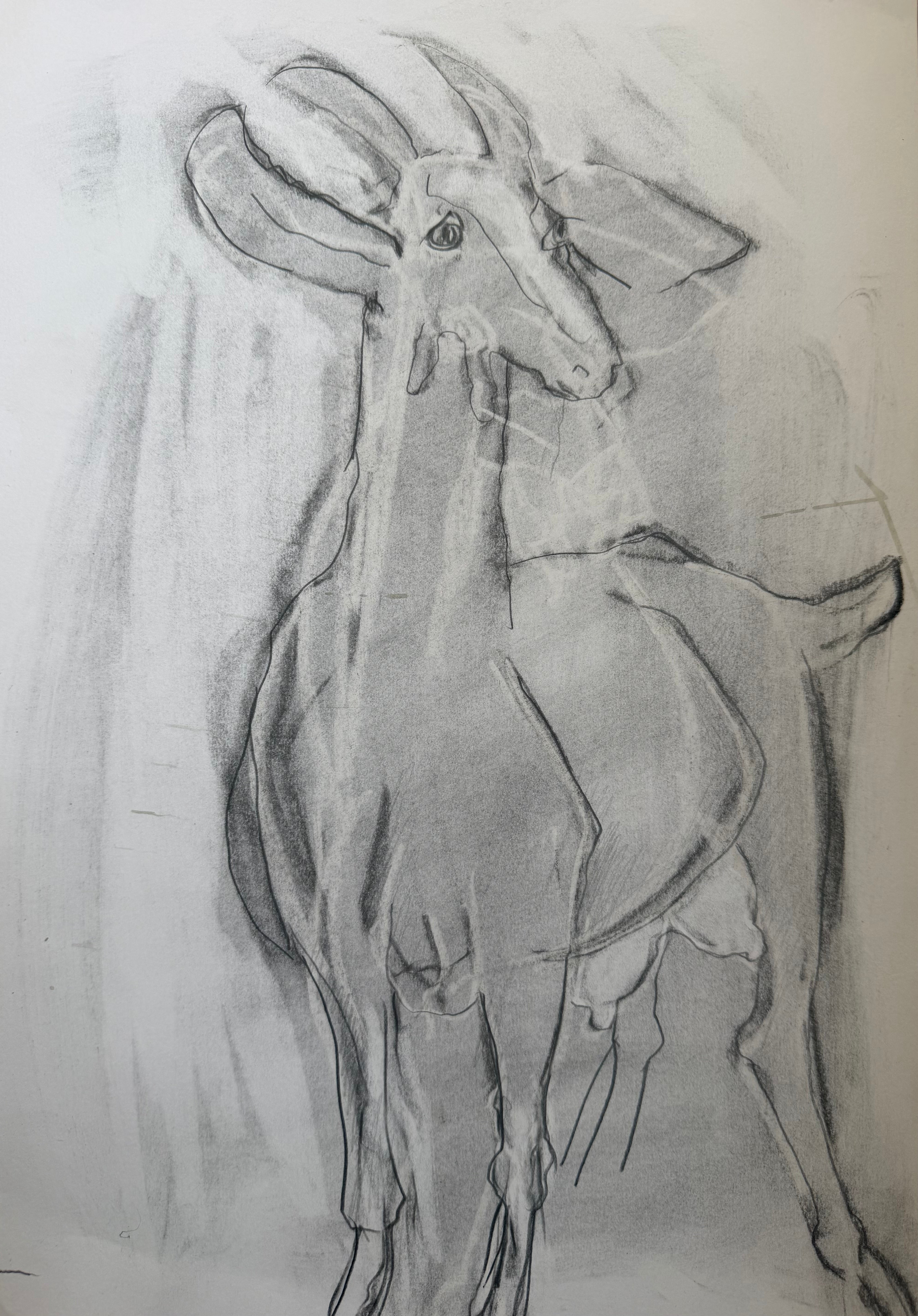 Posing Goat II by Ann Farley