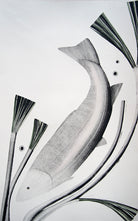 Salmon by Beatrice Forshall