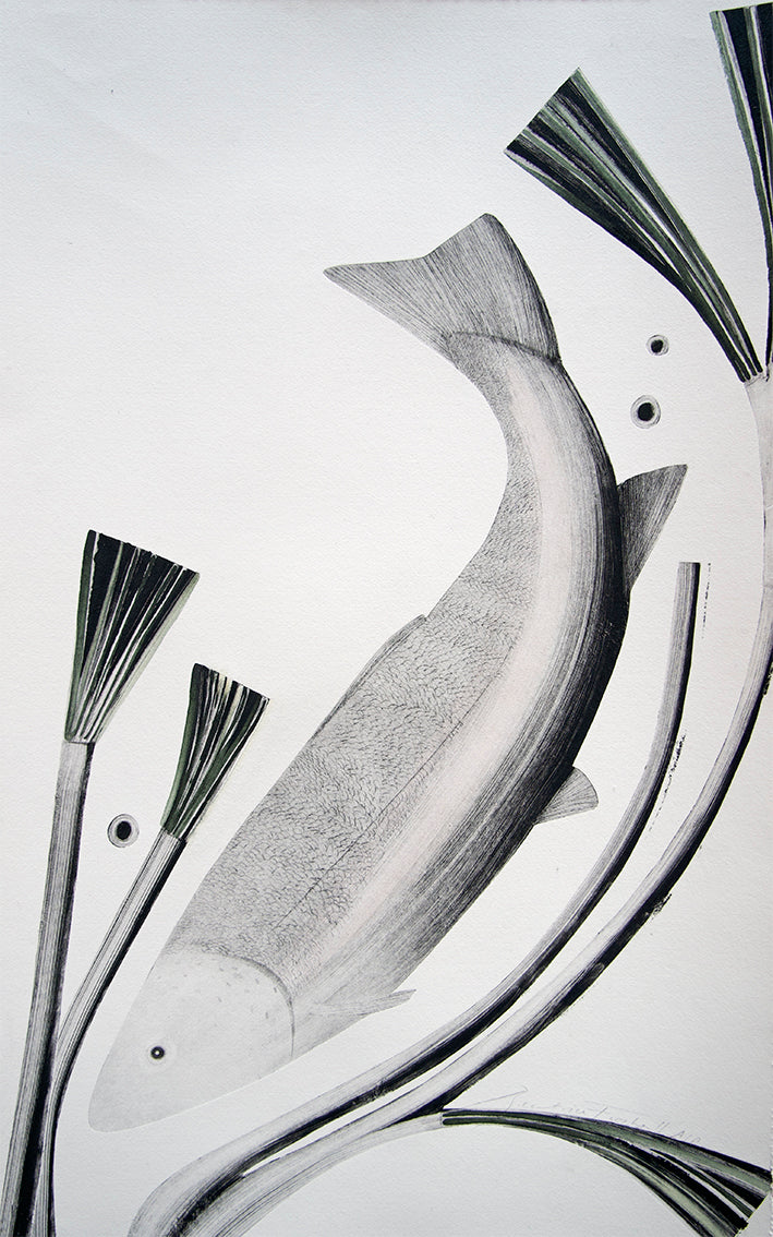 Salmon by Beatrice Forshall