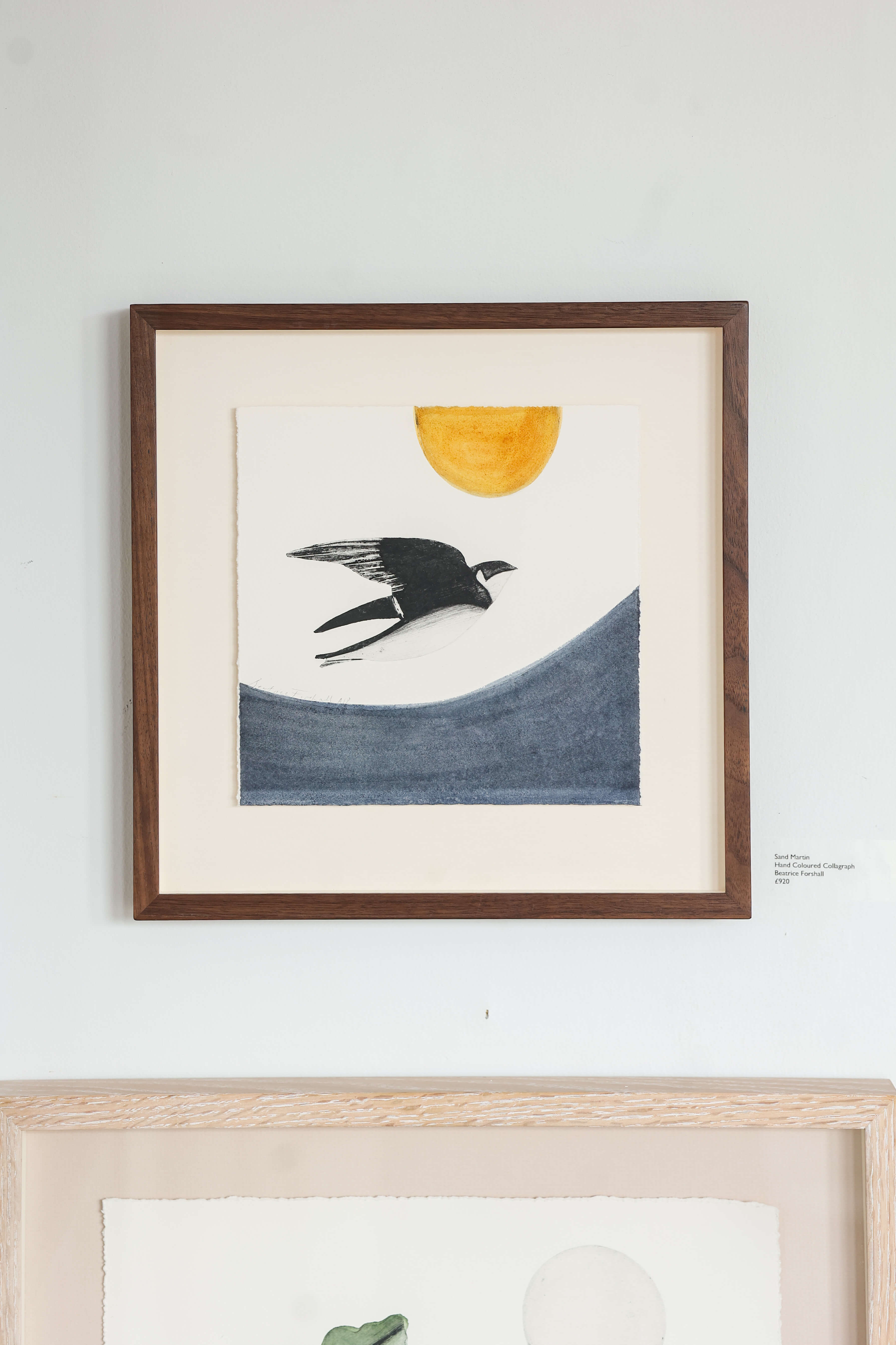 Sand MArtin by Beatrice Forshall
