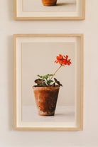 Single Red Pot by Carrie Lees