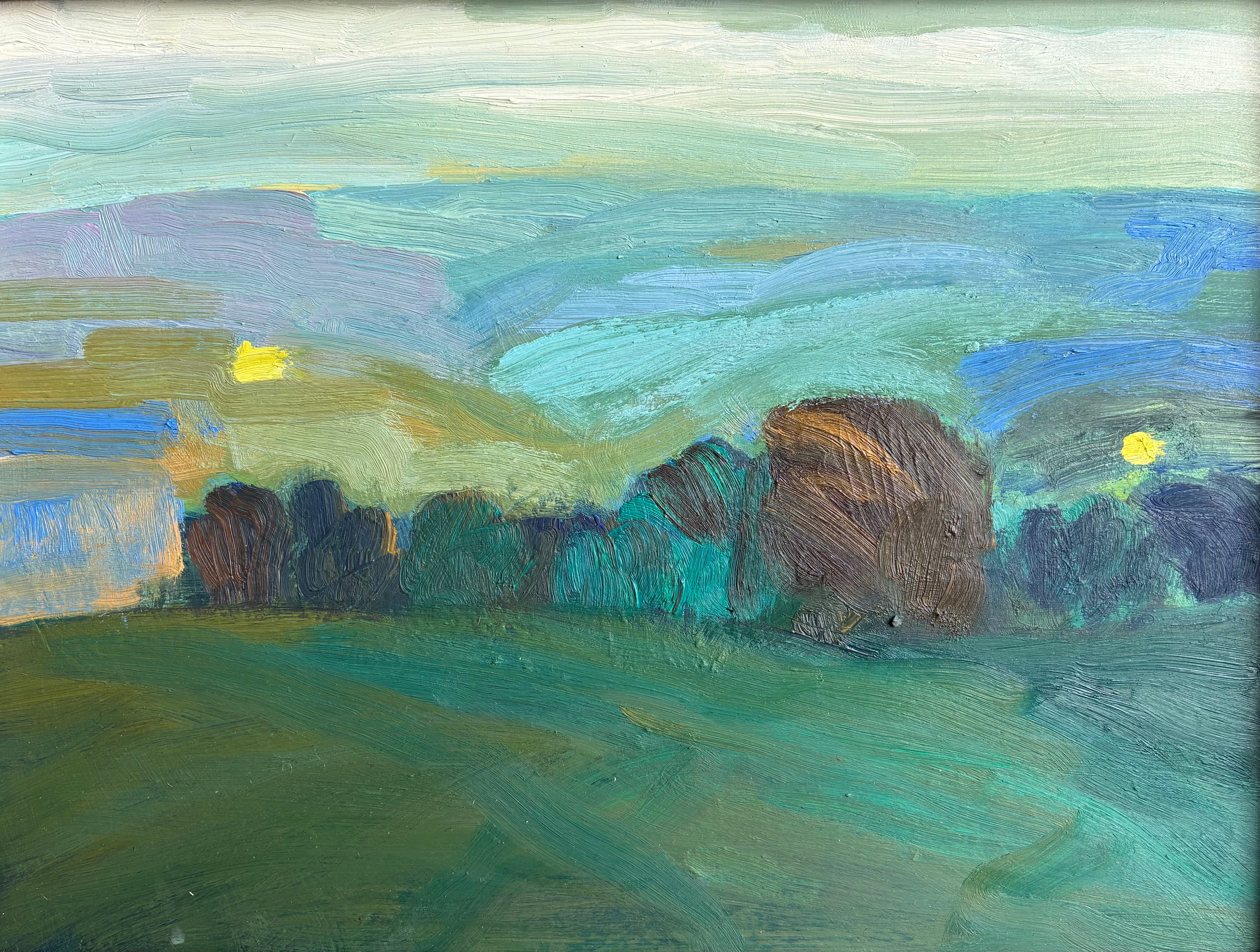 Stockbridge Down, April by Caroline Hall