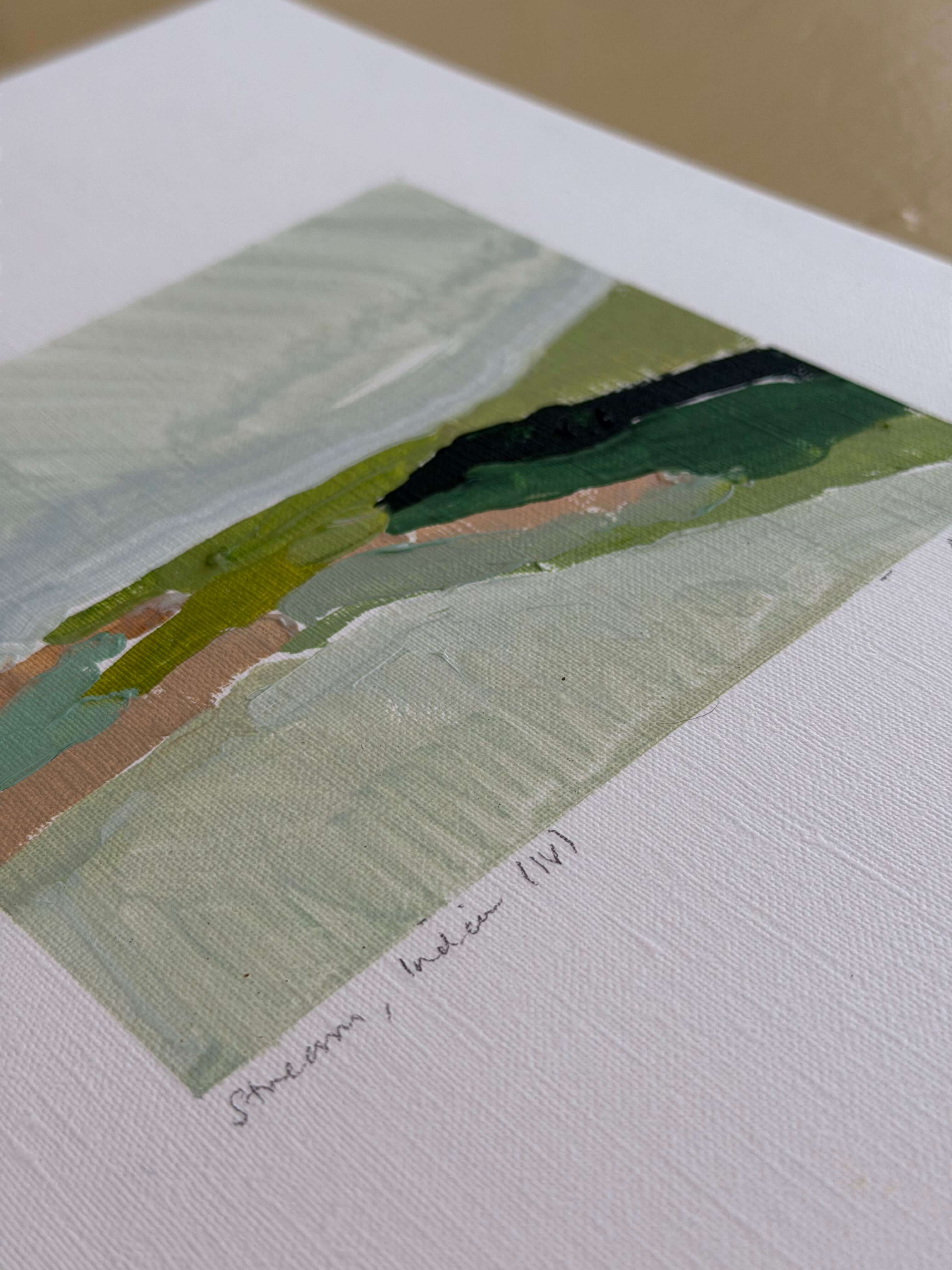 Stream, India IV by Sally Newton
