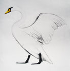 Swan by Beatrice Forshall