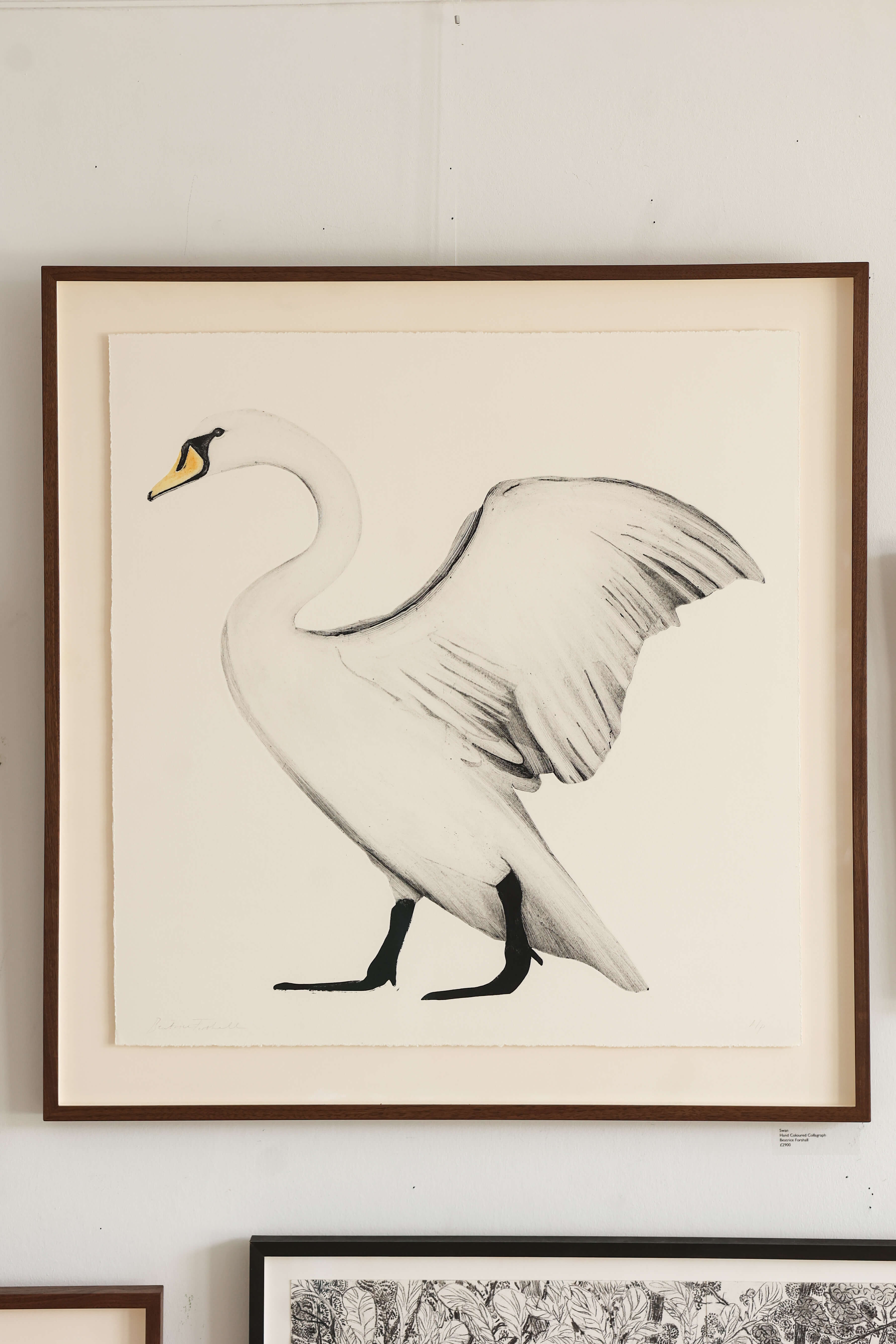 Swan by Beatrice Forshall