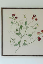 Sweet Pea by Jar Jar Edit