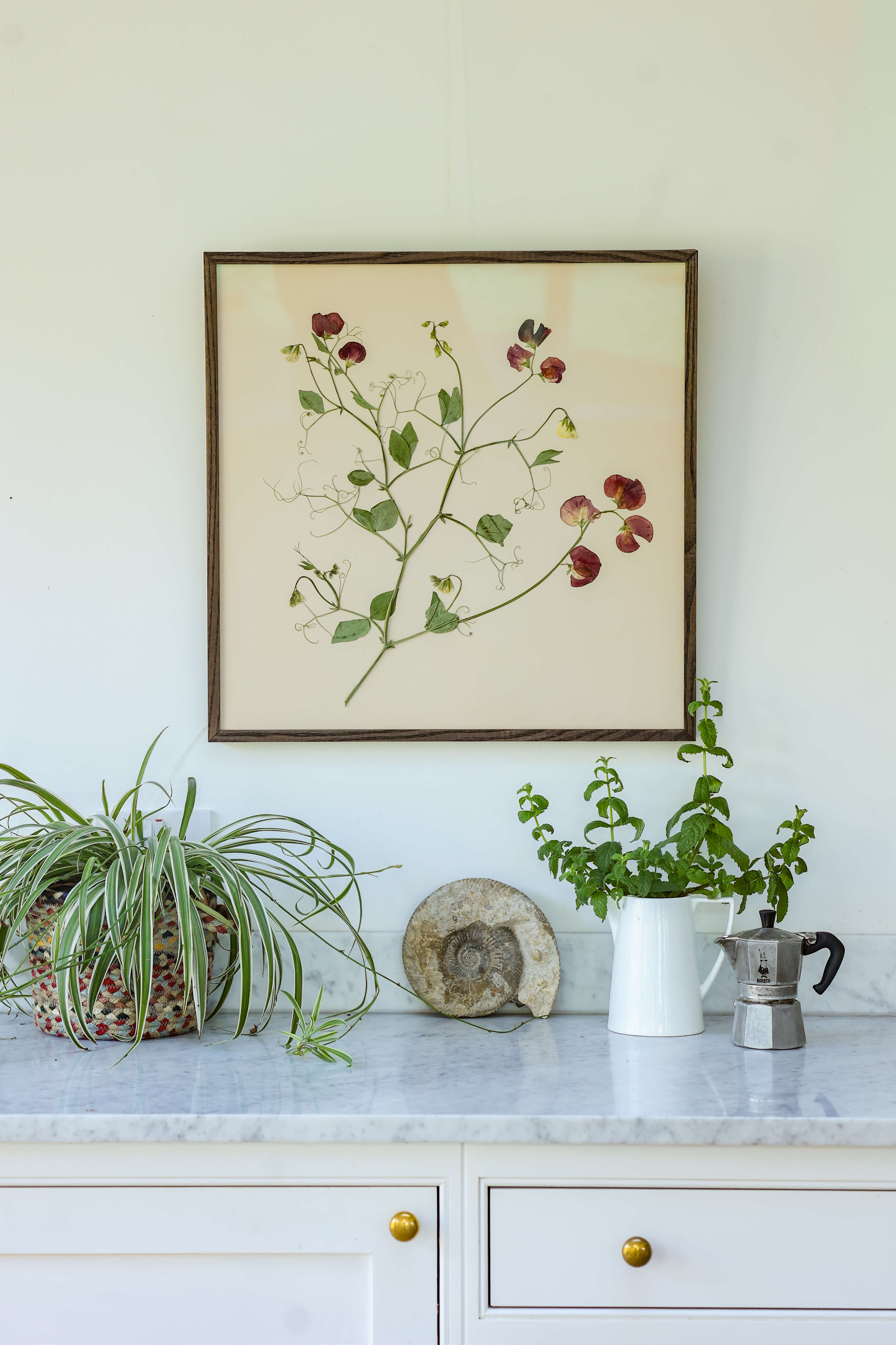 Sweet Pea by Jar Jar Edit