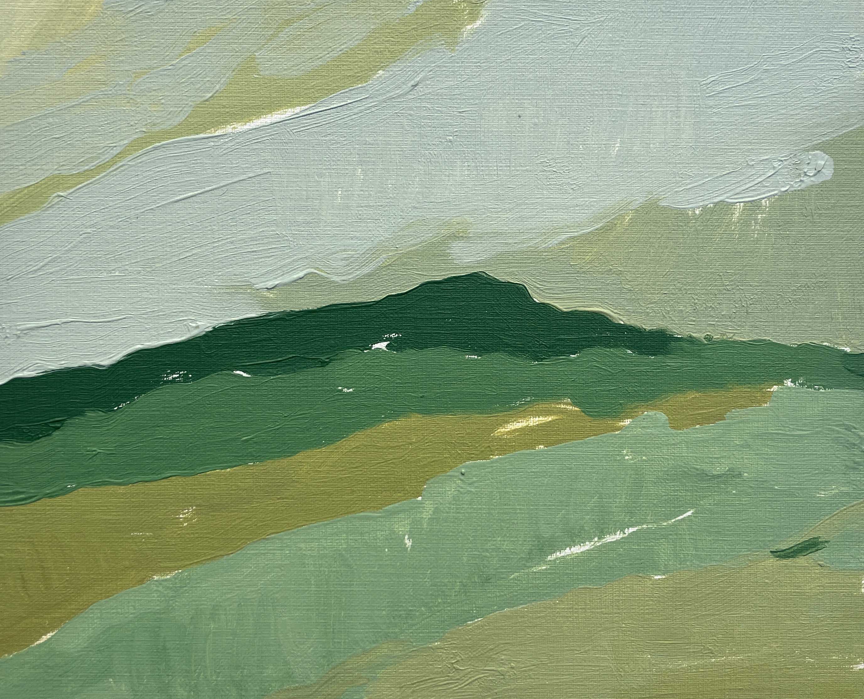 The Hill by Sally Newton