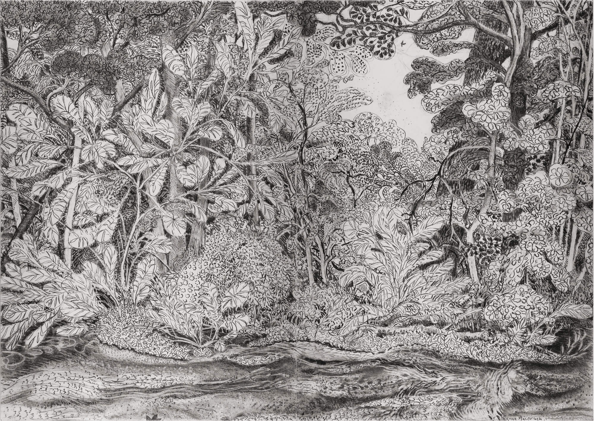 The Quiet Dazzling by Rosie MacCurrach