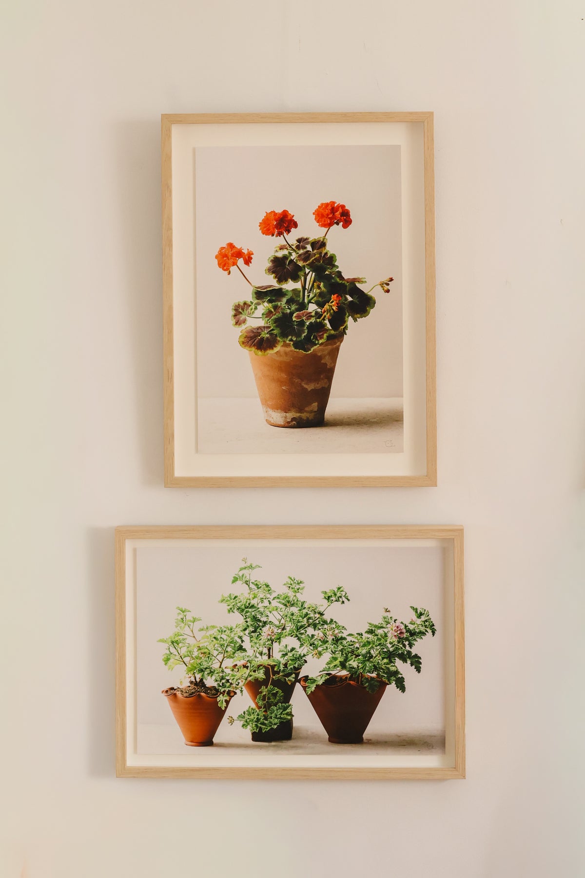 Triple_Red_Pot_byCarrie_Lees